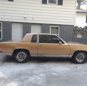 Meet your Posher, Felton